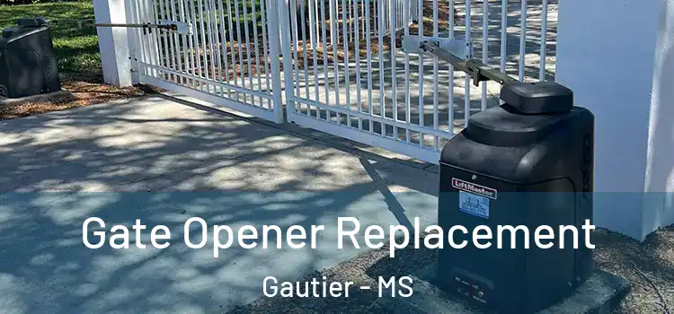 Gate Opener Replacement Gautier - MS